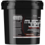 Ultimate Nutrition Muscle Juice Revolution 2600 со вкусом "Шоколад", 5.05 кг (11.1 lbs)