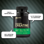 OPTIMUM NUTRITION Creatine 2500 мг, 100 капсул