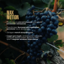 Maxler Max Motion Effervescent Grape со вкусом "Виноград", 20 шипучих таблеток