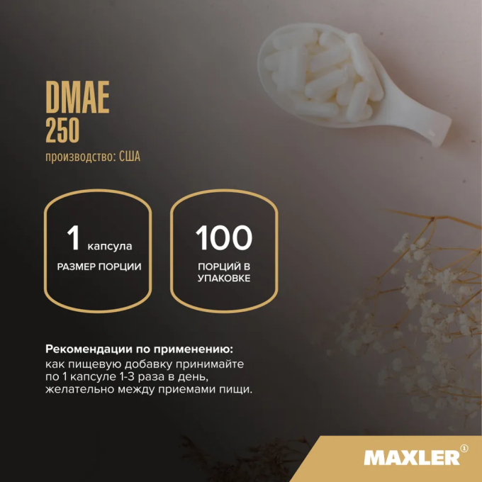 Maxler DMAE 250 Поддержка мозга, 100 капсул