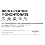 Креатин BioTech USA 100% Creatine Monohydrate 500g