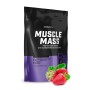 BioTech USA Muscle Mass Strawberry 1000 g — гейнер для набора массы