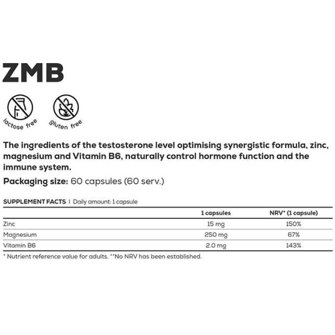 BioTech USA ZMB 60 капсула — мырыш, магний және B6 дәрумені