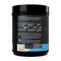 Протеин Rule 1 Whey Protein 1 lbs Ванильді Балмұздақ