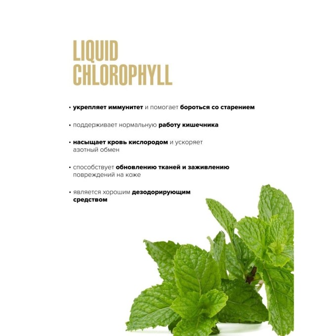 Maxler Chlorophyll Liquid Mint со вкусом "Мята", 450 мл 