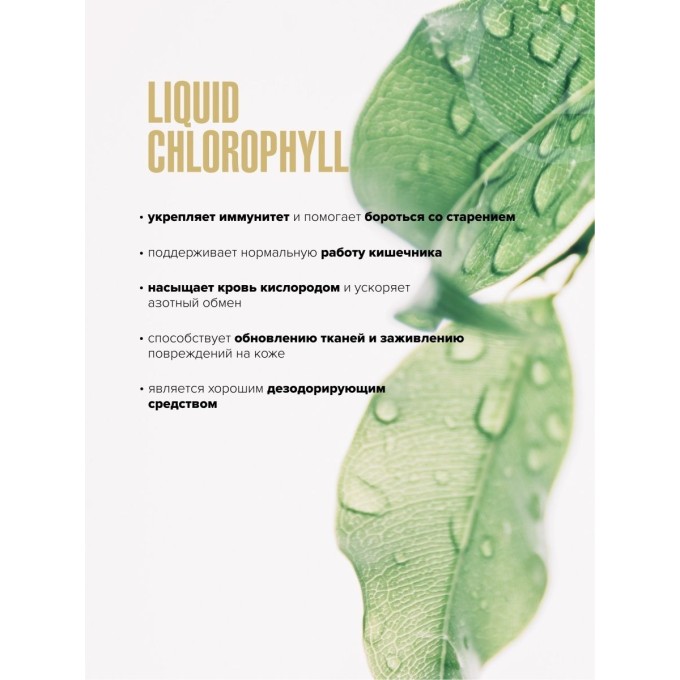 Maxler Chlorophyll Liquid Natural Нейтральным вкус, 450 мл 