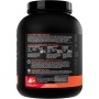 Rule 1 Protein Whey Isolate со вкусом "Клубника со Сливками", 2.3 кг (5 lbs)